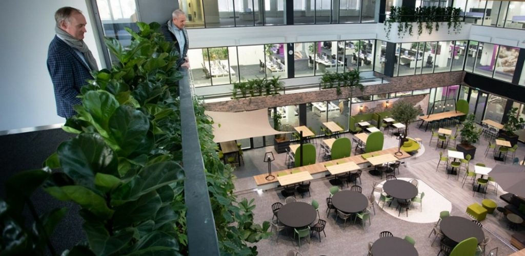 De Goudse verzekering & financiering