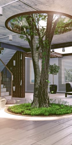 eco design of the modern interior. Real living tree indoor. 3d concept