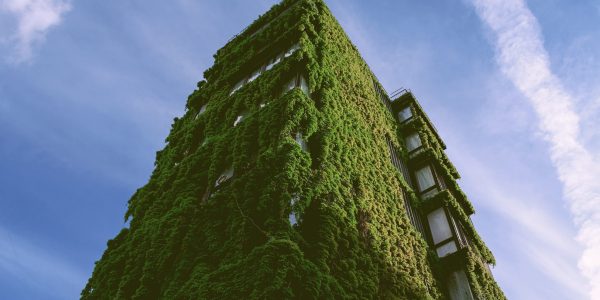 Green building in Milan - Italy
